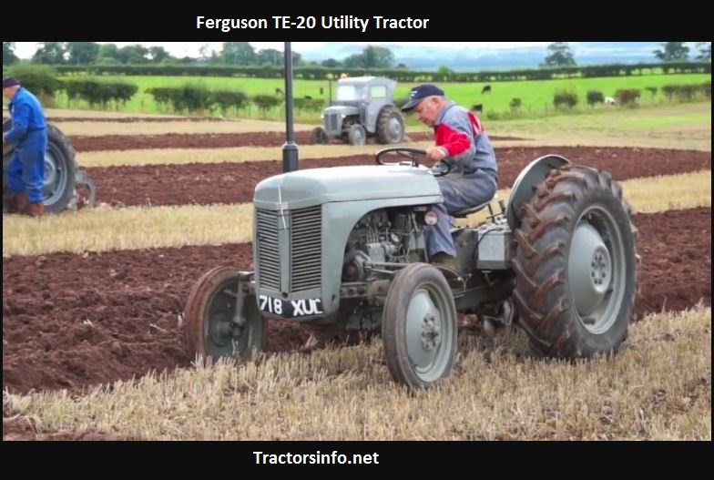 Ferguson Tractor T20 Eje Delantero Bush Tipo Temprano 
