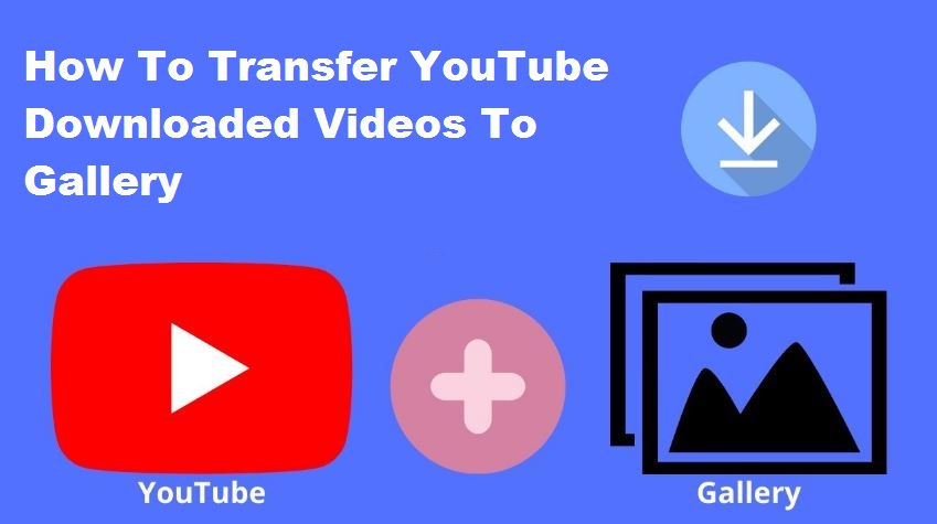 How To Transfer YouTube Downloaded Videos To Gallery.