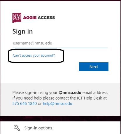 click on cant access your account option