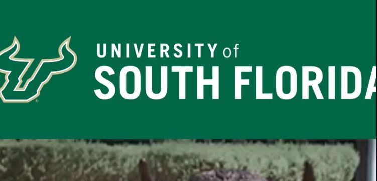 About USF Student Portal