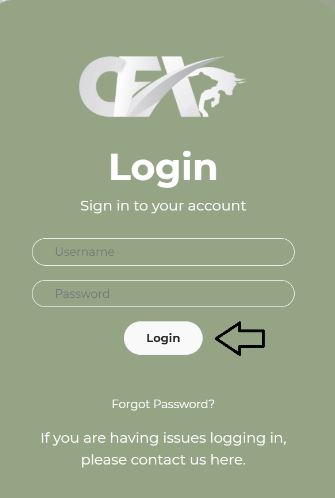 How to Login to Cash FX Group