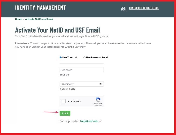 activate your netid and usf email