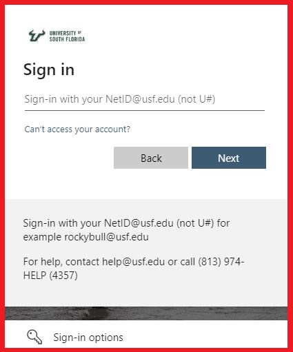 enter required details to reset netid password