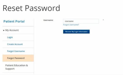 National Jewish Patient Portal Reset password