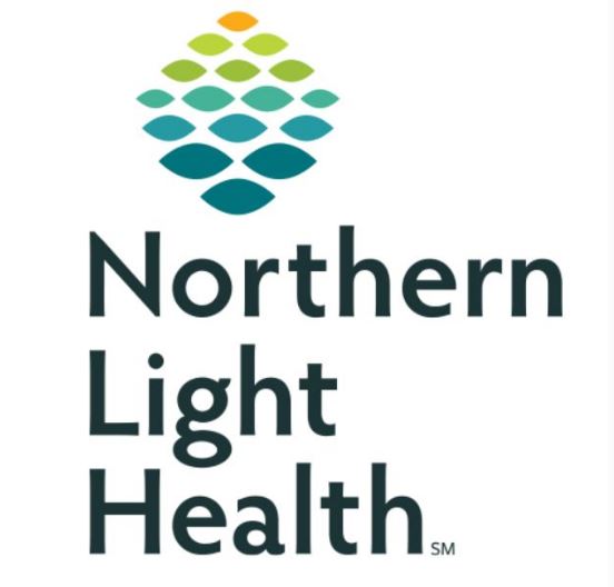 Northern Light Patient Portal