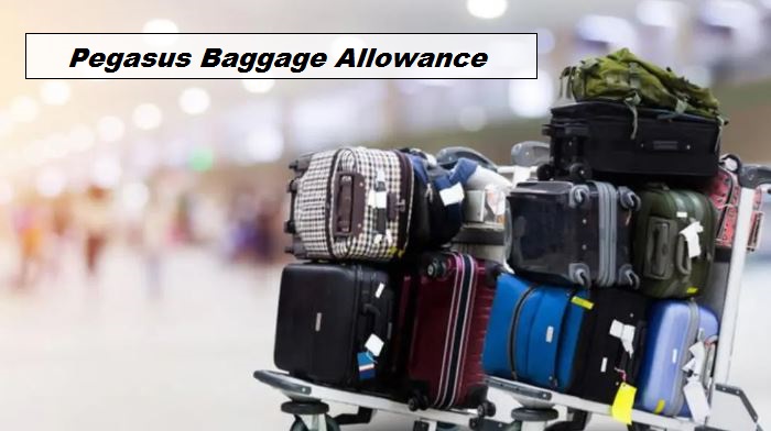 Pegasus-Baggage-Allowance