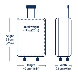 Porter Carry-On Weight
